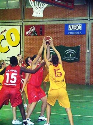 Un partido do P&iacute;o XII