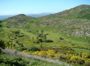 Zona afectada, co&ntilde;ecida como Prado de Arriba, no Coto da Eira