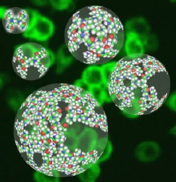 Crese que actualmente hai 86 produtos alimenticios que usan nanotecnolox&iacute;a