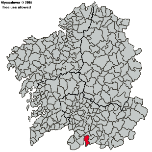 Calvos de Rand&iacute;n