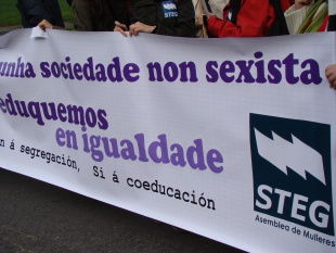 O STEG manifestouse en diversas ocasi&oacute;ns por "unha escola p&uacute;blica, galega, de calidade, coeducadora, laica e democr&aacute;tica"