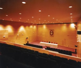 Sal&oacute;n de Actos do Pazo da Cultura