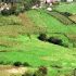 A Federaci&oacute;n Ecoloxista leva &aacute; Fiscal&iacute;a a concentraci&oacute;n parcelaria de Vilatuxe, en Lal&iacute;n
