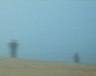 Unha das imaxes de 'Os veos da paisaxe' de Eduardo Estévez