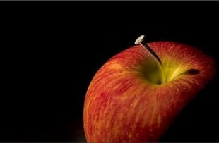 Segundo a tradición cristiana, o primeiro pecado foi comer a mazá prohibida