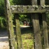 Imaxe do Cami&ntilde;o de Santiago ao seu paso polo Pino