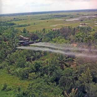 A forza a&eacute;rea estadounidense esparexeu o t&oacute;xico sobre a selva