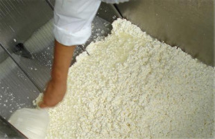 As grandes marcas de queixos, iogures, batidos ou preparados l&aacute;cteos procesan o leite galego nos seus centros de produci&oacute;n, f&oacute;ra de Galiza