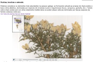 Un exemplo do herbario virtual