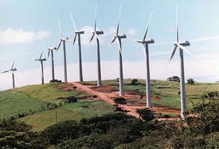 As e&oacute;licas poden producir 2.603 megavatios/ Foto: INEGA