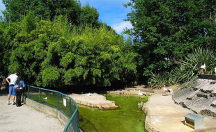 O zoo da Madroa ocupa parte do monte que agora o alto tribunal reco&ntilde;eceu que pertence aos veci&ntilde;os