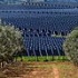 Planta de enerx&iacute;a solar en Alentejo