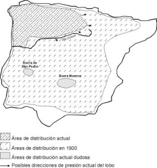 Distribución do lobo na Península Ibérica