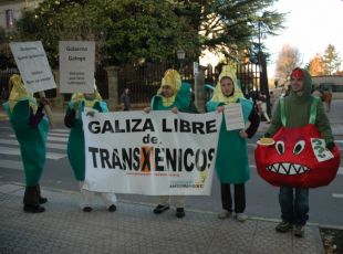 Manifestaci&oacute;n da PGA perante o Parlamento o pasado xaneiro