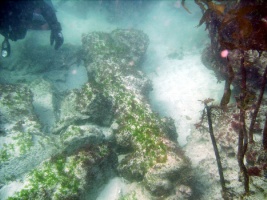 Imaxe dun dos can&oacute;ns do gale&oacute;n afundido / Foto cedida por buceofinisterre.com