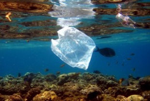 Bolsa de plástico no mar