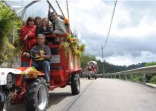 M&aacute;is un chimp&iacute;n, transportando os asistentes ao festival, en 2008
