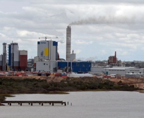 Planta de Botnia, situada na fronteira con Arxentina, onde estaba pensado que se constru&iacute;se a celulosa de Ence