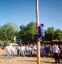 Unha cuca&ntilde;a de terra
