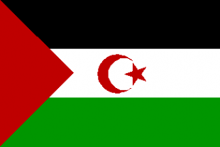 Bandeira saharau&iacute;