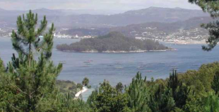 Illa de Tambo, vista dende Marín. / Foto: Wikimedia Commons