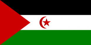 Bandeira do S&aacute;hara