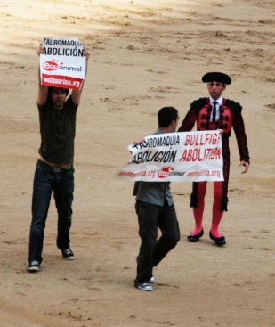 Imaxes da campa&ntilde;a 'Asalto al ruedo', cando os voluntarios de Equanimal baixaron &aacute; praza das Ventas