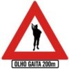 gaiteirissmo