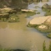 5&ordm; Premio: R&Iacute;O E R&Iacute;A CONTAMINADOS, de Iv&aacute;n Figueira Mart&iacute;nez