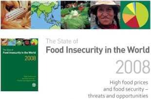 Informe anual da FAO