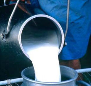 Os gandeiros ameazan con paralizar a recollida de leite en todo o país