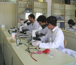 Alumnos no laboratorio dun instituto