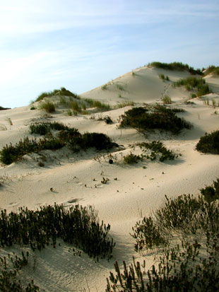 Complexo dunar situado preto de onde estará a piscifactoría