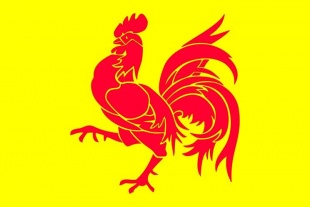 Bandeira de Valonia