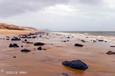 Praia luxada pola marea negra do 'Prestige', en Arcaishon