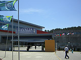 Vigo acolle Navalia 2008
