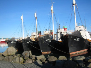 O sector pesqueiro demanda un relevo xeracional e unha maior formación