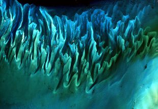 Algas mariñas e area baixo as augas das Bahamas