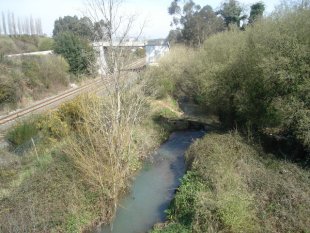 Río Sar, un dos máis contaminados