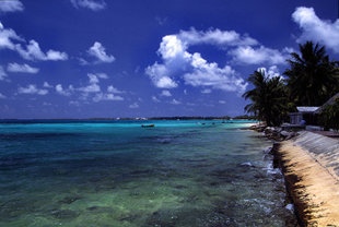 Unha praia do atol de Funafuti / Flickr: Stefan Lins