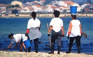 As mariscadoras non poden traballar cando as zonas superan certos niveis de contaminación / Foto: FGC