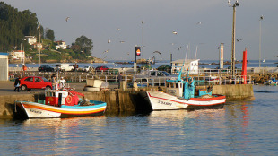 O da pesca é o sector onde se presentaron máis Expedientes de Regulación de Emprego, cun total de 82 (Imaxe: porto de Bueu/Flickr:triat3d)