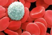 'Hemopure' pode ser usado en pacientes de calquera grupo sanguíneo