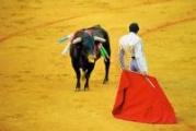 Nos últimos catro anos houbo corridas de touros nas festas de San Bartolomeu