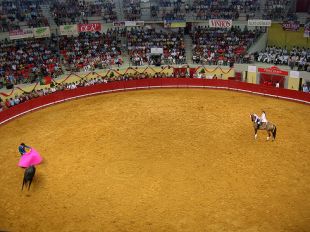 Nalgunhas cidades portuguesas hai afeccións aos touros. Na imaxe, a praza de touros de Évora, no flickr de zone41