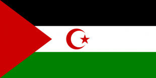 Bandeira saharauí