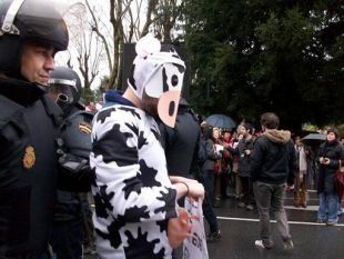 Un dos detidos na manifestación, disfrazado de vaca
