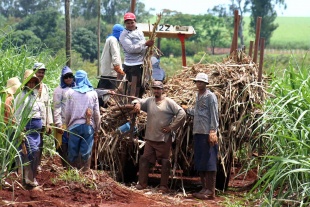 As áreas de traballo esclavo no Brasil coinciden coas zonas onde están as meirandes explotacións gandeiras e forestais do país