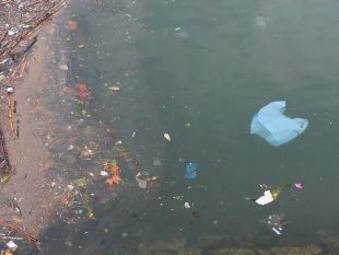 Unha bolsa de plástico no mar / Flickr: luisa